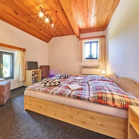 Penzion Pod Lesem Hodkovice