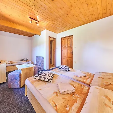 Penzion Pod Lesem Hodkovice