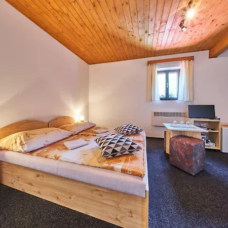 Penzion Pod Lesem Hodkovice
