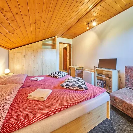 Guest house Penzion Pod Lesem Hodkovice