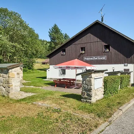 Penzion Pod Lesem Guest house Hodkovice