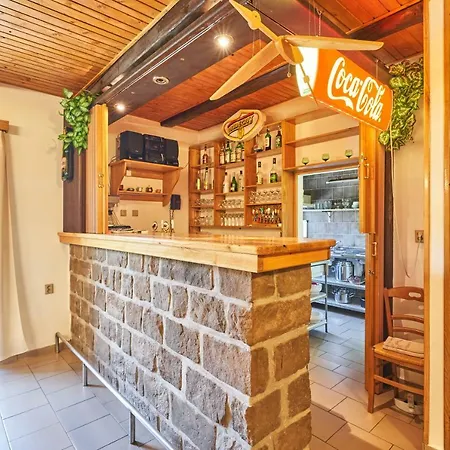 Guest house Penzion Pod Lesem Hodkovice